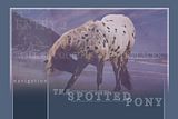 TheSpottedPonyLayoutcopy2.jpg image by ZenithDesigns